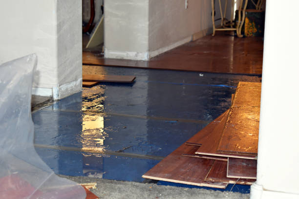 Professional Water Damage Restoration technician working in Clarksville, MI