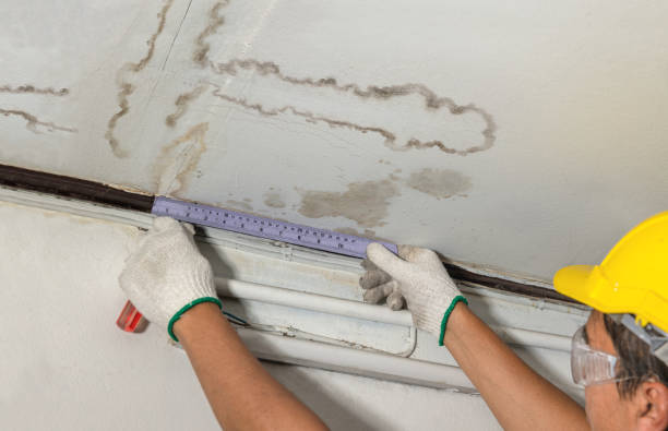 Reliable Water Damage Restoration contractor in Clarksville, MI by Local Water Damage Repair